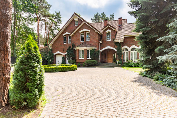 Best Driveway Paving Contractor  in Ocilla, GA